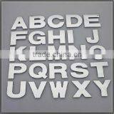 Price Slashed Decorative Emblems for Cars (ss-3603)