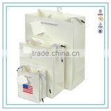 China Custom White Luxury Paper Bag & Brand Paper Bag Printing Logo With Handles thumbnail-1