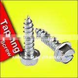 Hex Head Self Tapping Screw