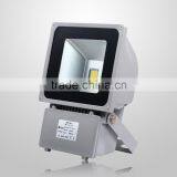 Cold White Waterproof COB 100W Flood Light LED for Garden thumbnail-2