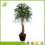 Wholesale 2016 True Trunk Low Price Artificial Banyan Tree for Indoor Decoration thumbnail-2