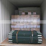 Green Painted Studded T Post