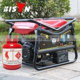 BISON(CHINA) Gas Generator Supplier Factory Biogas Electric Generator