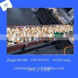 Frozen Fresh Scallops