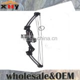 China Hot Sale Compound Bow M-10004 for Hunting
