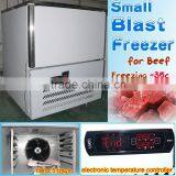 Small Blast Freezer Fits 5 Trays Beef Quick Freezing