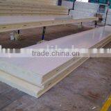 Fireproofing PU Codl Room Panels