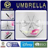 Hot Sale High Quality Apollo Poe Transparent Dome Shape Umbrella