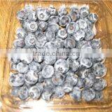 Bulk Wholesale Blueberry thumbnail-3