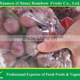 Fresh Fruits of Yunnan Xinjiang Red Sweet Globe Grape Table Grape thumbnail-3