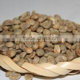 Wholesale Good Quality Yunnan Green Coffee Beans