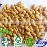 Best Fried Crisp Peanuts thumbnail-6