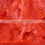 Tomato Ketchup Tomato Ketchup Plant Wholesale thumbnail-5
