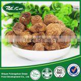 Dried Matsutake Mushroom High Quality thumbnail-6