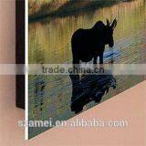 2017 Hot Sale Home Decor Decorative Plexiglass Wall Panels & Acrylic Title thumbnail-2