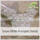 Inner Mongolia Best Quality Snow White Pumpkin Seed thumbnail-3