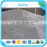 Made In China Factory Price 14x40 Mesh Granular Zeolite For Water Filtration thumbnail-4
