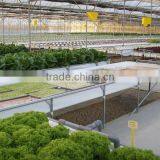 Nft Hydroponics thumbnail-3