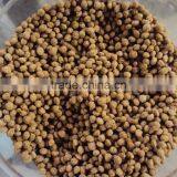 Nachop Chips Process Line thumbnail-4