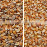1 T/h Output Capacity China Manufacture Color Sorter/sorting Machine for Grains thumbnail-3