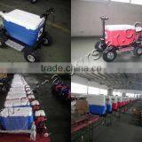Best Quality Gas Cooler Scooter 43CC SX-G110 From China thumbnail-6