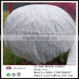 Non-woven Plant Cover Have the Rope / Non Woven Bag Used for Plant Protection Cover