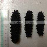 Dried Sea Cucumber/ Dried Salted Sea Cucumeber thumbnail-2