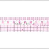 Factory Wholesale High Quality Plastic Fabric Ruler for Fashion Pattern Design 1"*12" #B-65 thumbnail-4
