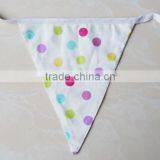 Fabric Printed Bunting Flag thumbnail-2