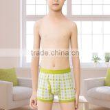 95% Cotton5%spandex Printed Boys Underwear / Children Underwear thumbnail-4