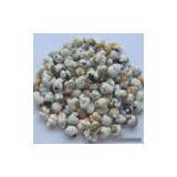 Sell Wasabi Coated Beans Mix thumbnail-1