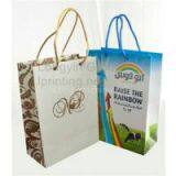 Shopping Bag Printing,Promotional Paper Bag Printing in China thumbnail-1