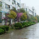 HUISHIH Alloy Co., Ltd. company overview - view 1 thumbnail