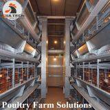 H Type Layer Chicken Chicken Cage With Full Automatic Equipment for 100000 Birds thumbnail-4
