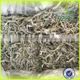 Sun Dried Cut Kelp Seaweed , New Crop Laminaria for Sale thumbnail-1