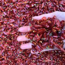 Wholesale Bulk Items Dry Red Chilli Sichuan Pepper Whole or Cut Offr or Chili Powder thumbnail-4