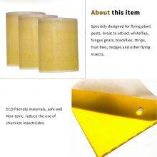 Зеленодольский клейкий роликовый ловушка thumbnail-4