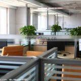 Yiwu Selltop Arts And Crafts Factory company overview - view 2 thumbnail