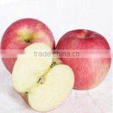 Superb Red Fuji Apple With High Sugar Content thumbnail-3