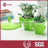 Special-design Desktop Flowerpot,receive a Case thumbnail-1