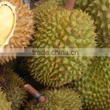 FRESH / FROZEN DURIAN IN VIETNAM thumbnail-2