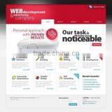 Web 2.0 Development