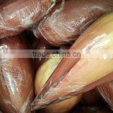 Banana Blossom thumbnail-1