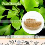 Professional manufacturer major 100% natural powder extracted from ginkgo
