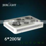 200- 1200W Cob LED Grow Light, Integrated Led Grow Light Full Spectrum for Green House Cob Type Quality Choice Most Popular thumbnail-2