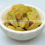 2015 New Crop Best Quality Fruit Products Dried Golden Sweet Raisin thumbnail-6