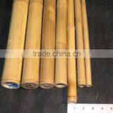 Vietnam Bamboo Pole Very Straight and Cheap Price thumbnail-1