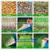 Hydropolics Fodder Machine thumbnail-3