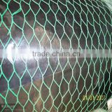 green/ black pvc coated small hole chicken wire mesh