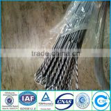 TUV certificated main product glavanzied baling wire